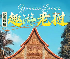 【趣游老撾 · 經(jīng)典版納】—昆明、普洱、西雙版納、磨丁、瑯勃拉邦四動(dòng)8日游